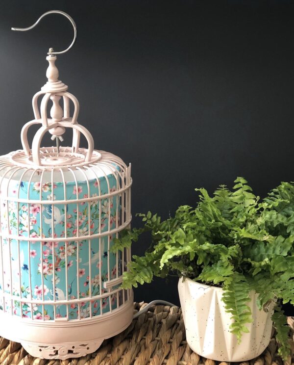 pale-pink-bamboo-bircage-lamp-with-light-blue-and-pink-shade